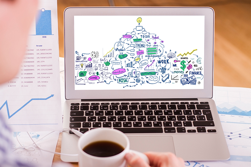 How to Become a Dolphin Trainer (Or Whatever You Want!)