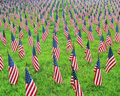 Active Status Officers: Allowable MOAA Activities