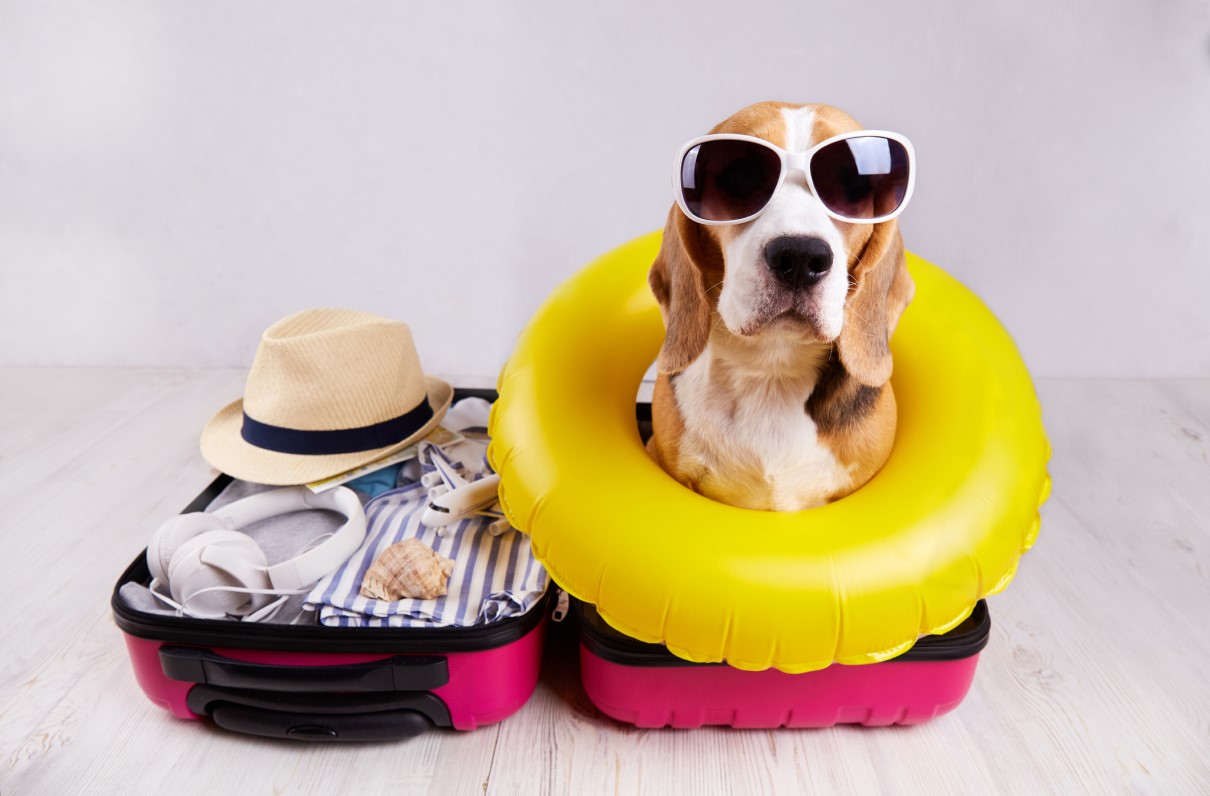 Ready to Recharge? 5 Ways to Make the Most Out of a Summer Break