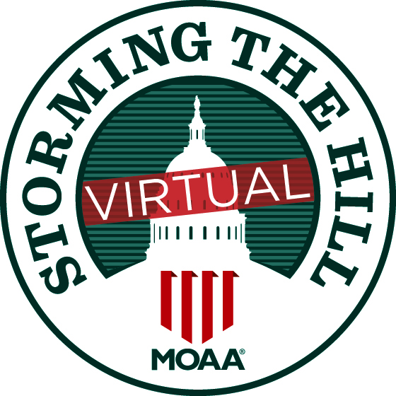 virtual-storm-logo-square-560x560.jpg