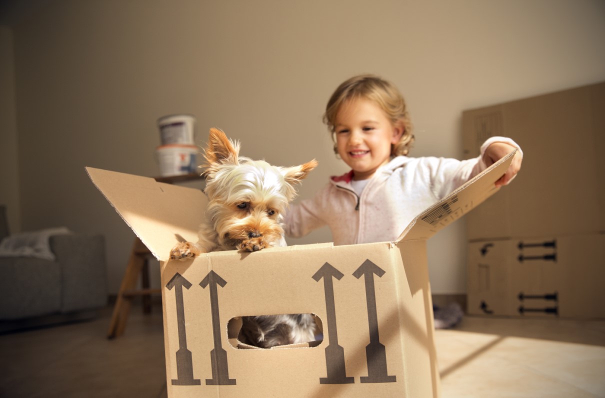 Advisory Council Members Offer Tips for PCSing With Special Needs Children